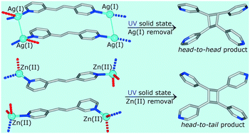 Graphical abstract: Regiospecific [2+2] photocycloadditions of an unsymmetrical olefin in the solid state based on metal-mediated assemblies