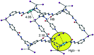 Graphical abstract: Molecular and crystalline architectures based on HgI2: from metallamacrocycles to coordination polymers