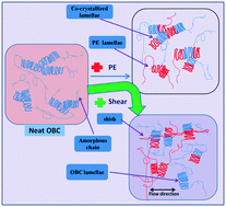 Graphical abstract: Tuning the mechanical properties of weakly phase-separated olefin block copolymer by establishing co-crystallization structure with the aid of linear polyethylene: the dependence on molecular chain length