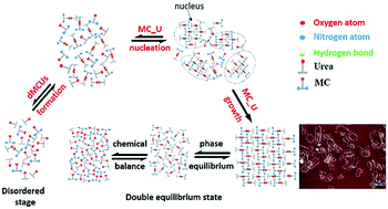 Graphical abstract: Molecular recognition and self-assembly mechanism of cocrystallization processes