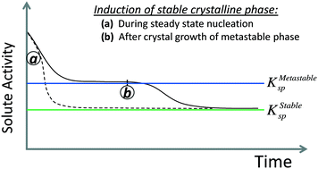 Graphical abstract: Induction time of a polymorphic transformation