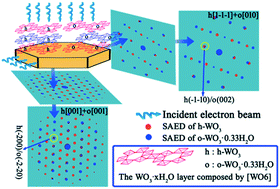 Graphical abstract: Iron cation-induced biphase symbiosis of h-WO3/o-WO3·0.33H2O and their crystal phase transition