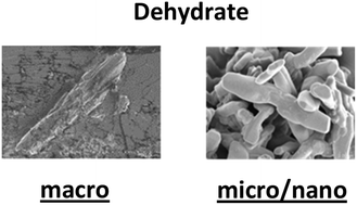 Graphical abstract: Reducing a cocrystal to nanoscale dimensions enables retention of physical crystal integrity upon dehydration