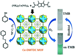 Graphical abstract: A cerium-based metal–organic framework having inherent oxidase-like activity applicable for colorimetric sensing of biothiols and aerobic oxidation of thiols