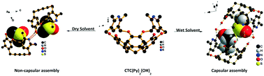 Graphical abstract: Hydrogen-bonded molecular capsules: probing the role of water molecules in capsule formation in modified cyclotricatechylene