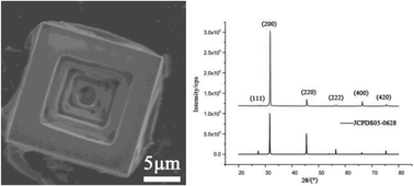 Graphical abstract: DNA action on the growth and habit modification of NaCl crystals