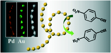 Graphical abstract: Pd–Au heterostructured nanonecklaces with adjustable interval and size as a superior catalyst for degradation of 4-nitrophenol