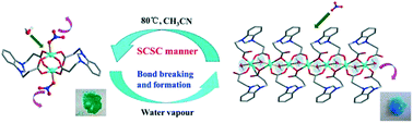 Graphical abstract: Controllable assembly of Cu(ii) coordination compounds based on a flexible zwitterionic benzimidazole–dicarboxylate ligand: synthesis, structural diversity, reversible SCSC transformation and magnetic properties