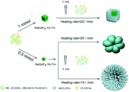 Graphical abstract: Morphology control of the NaGdF4:Yb,Tm@NaGdF4 core–shell nanostructure by tailoring the ratio of core to shell