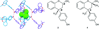 Graphical abstract: Total CCl4 guest alignment in a quasiracemic clathrate closely related to Dianin's compound