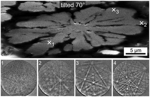 Graphical abstract: Crystallization and growth morphology of barium titanate and fresnoite from a glass with the composition 20.1Na2O·23.1BaO·23TiO2·9.8B2O3·21SiO2·3Al2O3