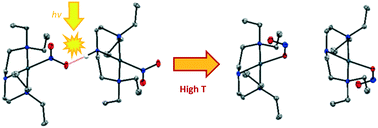 Graphical abstract: The impact of hydrogen bonding on 100% photo-switching in solid-state nitro–nitrito linkage isomers