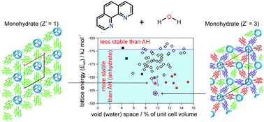 Graphical abstract: Understanding the role of water in 1,10-phenanthroline monohydrate