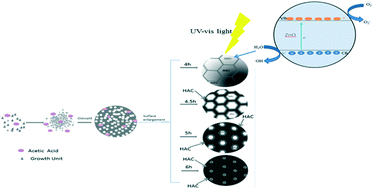 Graphical abstract: Nano needle decorated ZnO hollow spheres with exposed (0001) planes and their corrosion using acetic acid