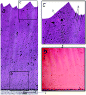 Graphical abstract: Micro-sectoriality in hydrothermally grown ruby crystals: the internal structure of the boundaries of the growth sectors