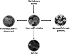 Graphical abstract: Rapid augmentation of vertically aligned MoO3 nanorods via microwave irradiation