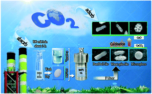 Graphical abstract: Controllable synthesis of two CaO crystal generations: precursors' synthesis and formation mechanisms