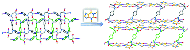 Graphical abstract: An exploration into the amide–pseudo amide hydrogen bonding synthon between a new coformer with two primary amide groups and theophylline