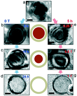 Graphical abstract: Acceleration of Kirkendall effect processes in silicon nanospheres using magnetic fields