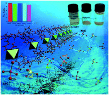 Graphical abstract: Synthesis, X-ray crystallography, thermogravimetric analysis and spectroscopic characterization of isostructural one-dimensional coordination polymers as sorbents for some anions