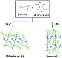 Graphical abstract: A salt or a co-crystal – when crystallization protocol matters