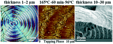 Graphical abstract: Three-dimensional interior analyses on periodically banded spherulites of poly(dodecamethylene terephthalate)