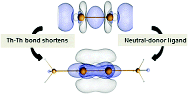 Graphical abstract: The shortest Th–Th distance from a new type of quadruple bond
