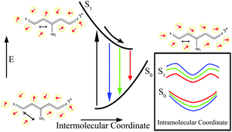 Graphical abstract: Time-resolved signatures across the intramolecular response in substituted cyanine dyes