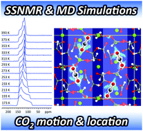 Graphical abstract: Sizable dynamics in small pores: CO2 location and motion in the α-Mg formate metal–organic framework