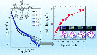 Graphical abstract: SANS investigation of water adsorption in tunable cyclodextrin-based polymeric hydrogels