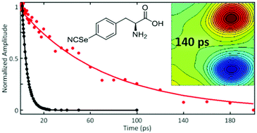 Graphical abstract: Extended timescale 2D IR probes of proteins: p-cyanoselenophenylalanine