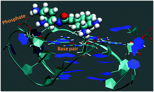 Graphical abstract: Exploiting hydrogen bonding interactions to probe smaller linear and cyclic diamines binding to G-quadruplexes: a DFT and molecular dynamics study