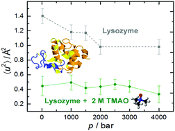 Graphical abstract: Influence of cosolvents, self-crowding, temperature and pressure on the sub-nanosecond dynamics and folding stability of lysozyme