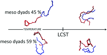 Graphical abstract: Solution behaviour of poly(N-isopropylacrylamide) stereoisomers in water: a molecular dynamics simulation study