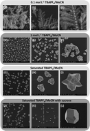 Graphical abstract: Investigating the effect of ionic strength on the suppression of dendrite formation during metal electrodeposition