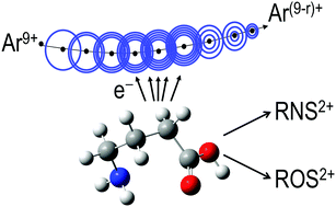 Graphical abstract: Production of doubly-charged highly reactive species from the long-chain amino acid GABA initiated by Ar9+ ionization