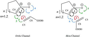 Graphical abstract: On the outside looking in: rethinking the molecular mechanism of 1,3-dipolar cycloadditions from the perspective of bonding evolution theory. The reaction between cyclic nitrones and ethyl acrylate