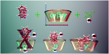 Graphical abstract: Binary twinned-icosahedral [B21H18]− interacts with cyclodextrins as a precedent for its complexation with other organic motifs