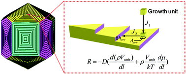 Graphical abstract: Crystal growth: an anisotropic mass transfer process at the interface