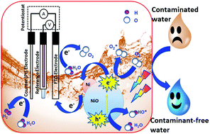 Graphical abstract: Role of Ni in hetero-architectured NiO/Ni composites for enhanced catalytic performance