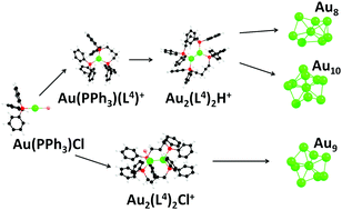 Graphical abstract: Observing the real time formation of phosphine-ligated gold clusters by electrospray ionization mass spectrometry