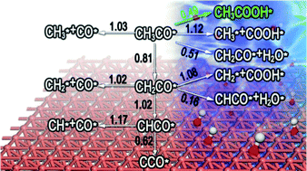 Graphical abstract: Competitive C–C and C–H bond scission in the ethanol oxidation reaction on Cu(100) and the effect of an alkaline environment