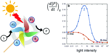 Graphical abstract: Enhanced photo-responsiveness in a photoswitchable system model: emergent hormetic catalysis