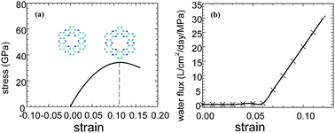 Graphical abstract: Ultrafast permeation of seawater pervaporation using single-layered C2N via strain engineering