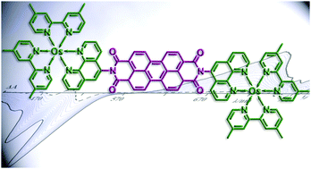 Graphical abstract: Multichromophoric hybrid species made of perylene bisimide derivatives and Ru(ii) and Os(ii) polypyridine subunits