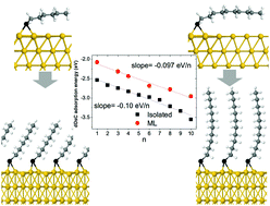 Graphical abstract: A van der Waals DFT study of chain length dependence of alkanethiol adsorption on Au(111): physisorption vs. chemisorption