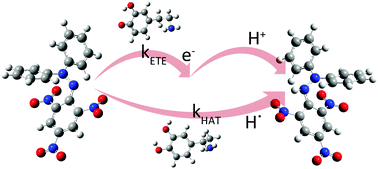 Graphical abstract: Antiradical activity of catecholamines and metabolites of dopamine: theoretical and experimental study