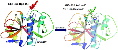 Graphical abstract: Quantum mechanics/molecular mechanics studies of the mechanism of cysteine protease inhibition by peptidyl-2,3-epoxyketones