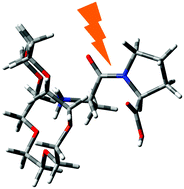 Graphical abstract: Energy flow in peptides after UV photoexcitation of backbone linkages