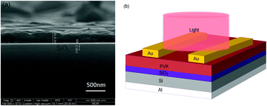 Graphical abstract: Ionic behavior of organic–inorganic metal halide perovskite based metal-oxide-semiconductor capacitors